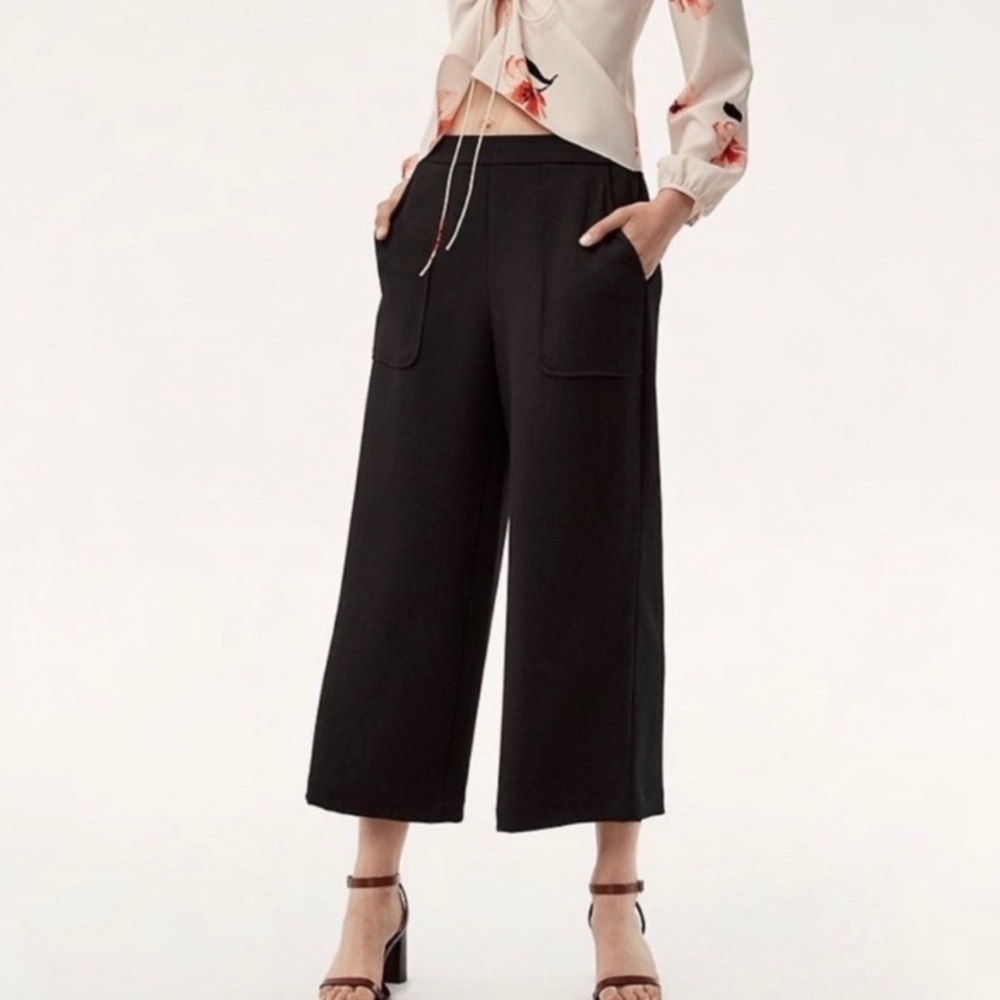 Aritzia Elegant Black Wide-Leg Pants.